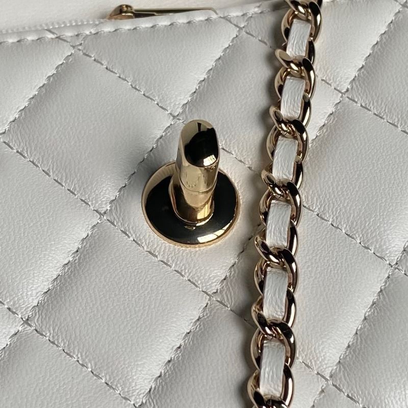 Chanel WOC Bags